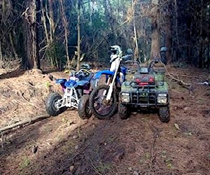 Yamaha Yzf450