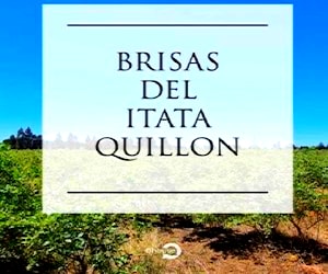 "Brisas del Itata" - Espectaculares Parcelas