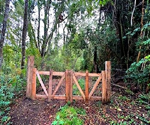 Terreno de 10,4 Ha camino al Volcan Osorno (9824)