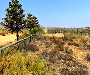 Terrenos Tongoy Guanaqueros