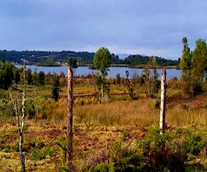 Terreno con cabañas