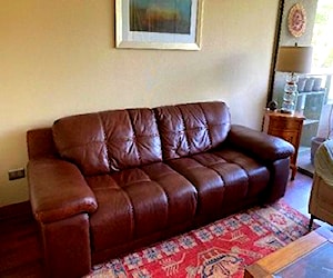 Sofa cuero Rosen