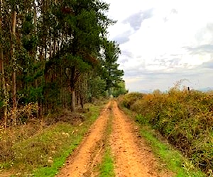 San clemente -camino las Delicias 