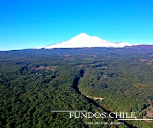 NUEVA Parcelación - Bosques Del Llaima