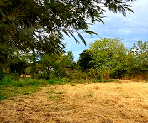 Terreno En Santa Susana Comuna Teno Prov Curico