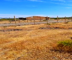 Terreno ubicado en séptima region comuna de Ñiquén