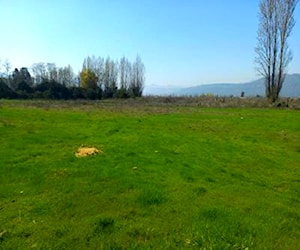 Parcela Sector Santa Rosa Los Niches