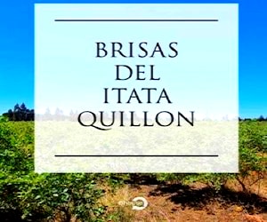 Brisas del Itata en Quillón - Región del Ñuble