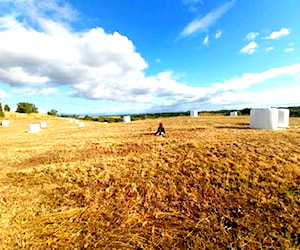 Parque residencial lomas del sur Puerto Varas