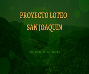 Terrenos Copiulemu Proyecto Loteo San Joaquín