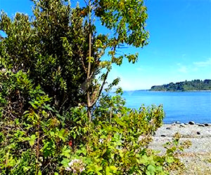 Sitio punta chullegua calbuco Puerto Montt