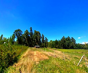 Parcela de Media Hectrea Sector Paso Rari ColbúN