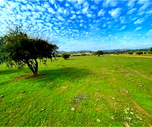 Sitio Hacienda Don Bastian Hacienda Don Bastian