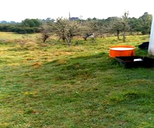  2 Hectareas de Terreno con cabaña incluida 