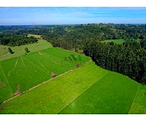 AGRICOLA yuntas viejas - puerto varas - Los&#8230;