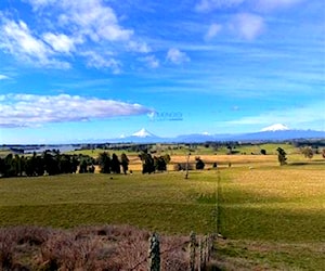 AGRICOLA llanquihue - llanquihue - Los Lago&#8230;