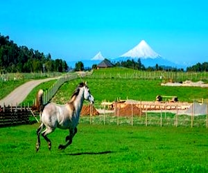 PARCELA Loncotoro Puerto Varas