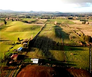 15 Ha camino Huichahue