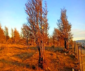 Terreno en calle manuel rodriguez