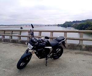 Yamaha fzn 150