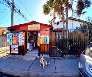 Casa con negocio en Puente alto