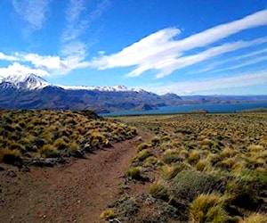 Terreno de 1 Ha. con vista a Lago General Carrera