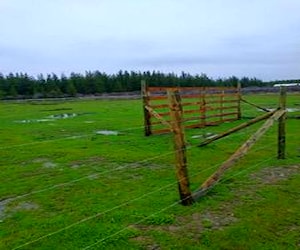 Parcela la Capellania en cauquenes 5.000mt2