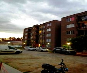 3 dorm, el bosque