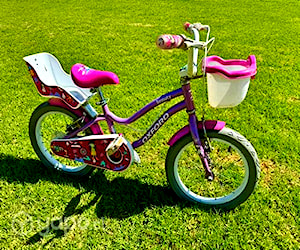 Bicicleta Oxford Beauty Aro 16 Niña