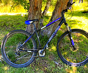 Bicicleta Liberty Semi-Nueva Aro 29