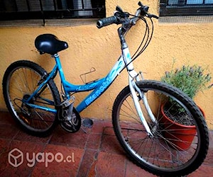 Bicicleta adulto