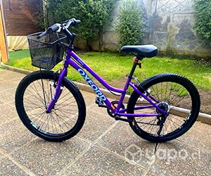 Bicicleta Oxford Luna Aro 24