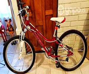 Bicicleta Aro 24 Treck Burdeo