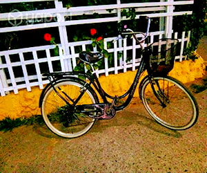 Bicicleta canasto