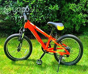 Bicicleta Radical Mountain niño aro 20