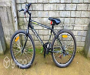 Bicicleta aro 24