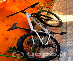 Bicicleta Specialized Rockhopper Comp aro 29
