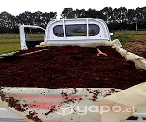 Compost Abono caballo para plantas tierra huerta