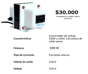 Transformador de electricidad 110/220 300W