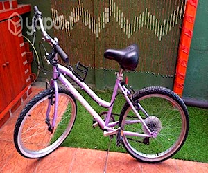 Bicicleta Oxford Mujer Aro 24