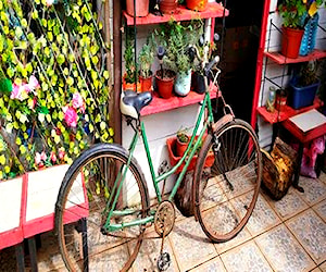 Bicicleta antigua retro vintage india tipo camello