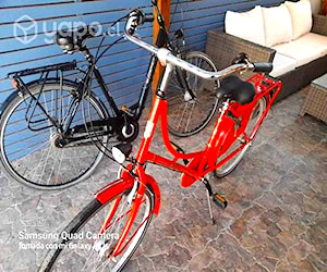 Bicicleta Falter Clásica H 1.0, usada