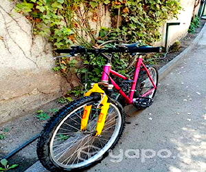 bicicleta tipo de montaña