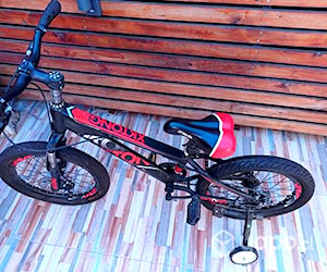 Bicicleta unisex