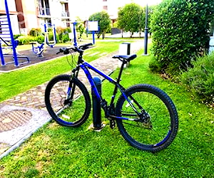 Bicicleta mountain bike marca Roldic