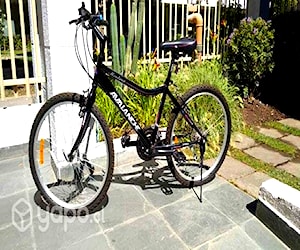 Bicicleta Avalanche MTB 24"