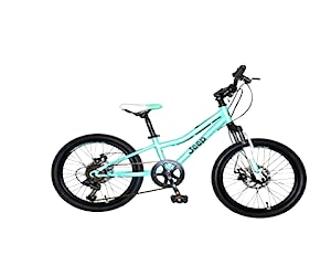 Bicicleta Jeep Aro 20