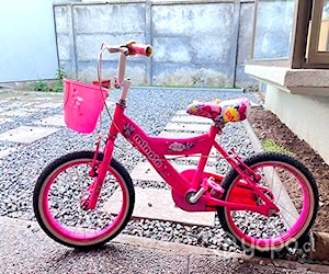 Bicicleta Lahsen, modelo de Minnie, Aro 16