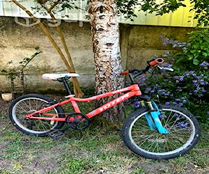 Bicicleta Niña Aro 20 Usada