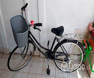 Bicicleta de paseo